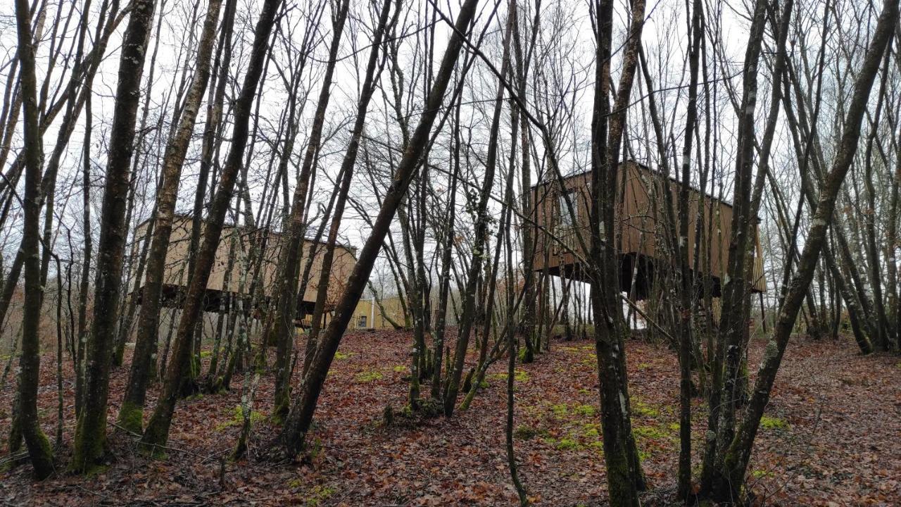 Cabanas Das Chousas 루고 객실 사진