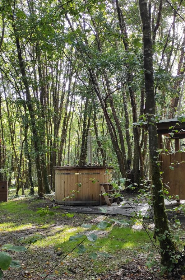 Cabanas Das Chousas 루고 외부 사진